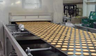 Системы изготовления печенья с помощью проволочной резки и мягкого печенья Reading Bakery Systems (США)